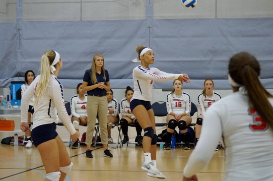 Tigers Defeat Jersey Blues In Women's Volleyball Match